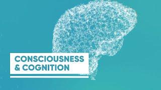 HBP Focus Area - Consciousness and Cognition