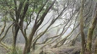 El Hierro, Canarias