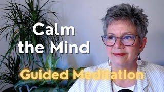 Weekly Guided Meditation -  Calm the Mind
