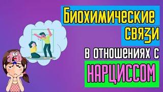 Биохимические связи в отношениях с Нарциссом