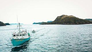 Harvesting Winter Firewood by Boat – Off-Grid Prep for Colder Days