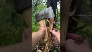 Proper Axe Re Handle? #logger #woodworking #logcabin #axe #survival #bushcraft #diy #cabin #outdoors