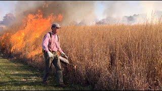 UIS Prairie Prescribed Burn