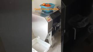 Carrot Cutting Slicing Machine