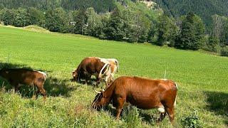 Jezersko,Slovenia,A popular tourist Destination in Slovenia