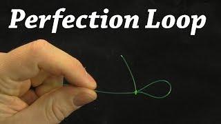 How to Tie a Perfection Loop Knot | Fishing Knot