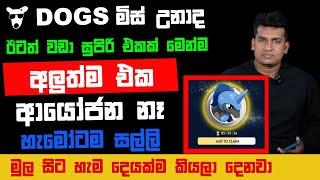 MysterPentagon Airdrop A to Z Guide and Tips Sinhala | අලුතින්ම ආපු Pentagon  ගැන සියල්ලම සරලව