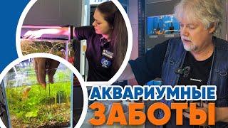 Аквариумные новости с Владимиром Ковалёвым (18.04.2025). Аквариумные заботы.