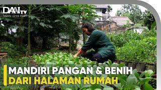 Maksimalkan Halaman Rumah dengan Tanam Sayur