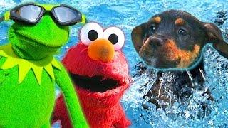 Kermit the Frog, Elmo, and Puppy go Swimming!