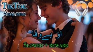 O bewafa | slowed + rewarb | saraiki song  |  #saraikimusic