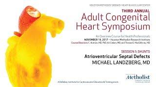 Atrioventricular Septal Defects (MICHAEL LANDZBERG, MD)