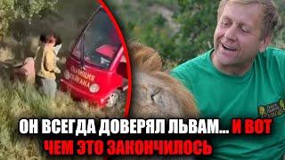 трагедия в “тайгане”: львы напали на зубкова прямо во время прогулки