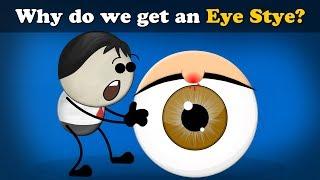 Why do we get an Eye Stye? + more videos | #aumsum #kids #science #education #children