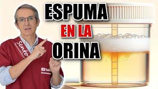 5 MOTIVOS principales de ESPUMA en la ORINA: ¡Uno es ENFERMEDAD renal!