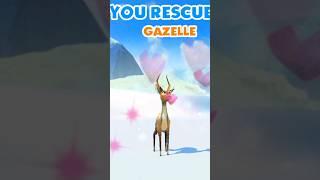 Rescuing gazelle