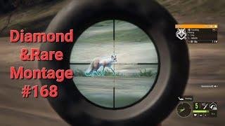 Diamond and Rare Montage #168 /The Hunter Call of the Wild Montage