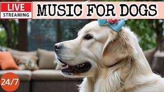 [LIVE] Dog MusicDog Calming MusicAnti Separation Anxiety Relief MusicSleep Music for Dogs３