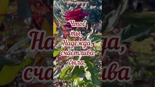 Надежда, с днем ангела! Поздравление для Надежды  #планетапоздравлений #сднемангеланадежды