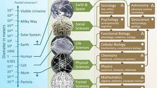 Hierarchy of the sciences | Wikipedia audio article