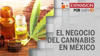 El fabricante de Mariguanol, CBD Life, quiere más productos con cannabis