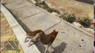 FLAPPY DOG - Grand Theft Auto 5