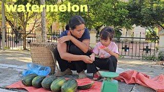 Autumn Sunshine: Buying Watermelon to Sell to Earn Extra Income to Maintain Life - Le Thi Hon