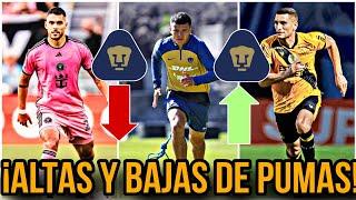 ALTAS Y BAJAS DE PUMAS | LLEGARÍA A PUMAS |  REFUERZOS PUMAS 2024