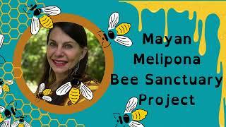 Mayan Melipona Bee Sanctuary Project 501c3