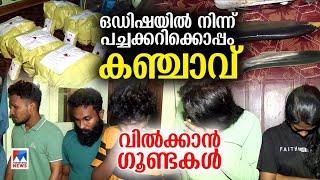 കൊച്ചി അമ്പലമേട്ടില്‍ പിടിച്ച കഞ്ചാവ് എത്തിച്ചത് വന്‍ മാഫിയ ​| Kochi | Ganja | Arrest | Odisha