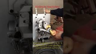 Automatic multi-function pear peeling coring machine