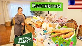 США , И ЭТО ВСЁ БЕСПЛАТНО !!!