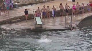 Austin residents plunge into 2023 at Barton Springs Pool | FOX 7 Austin