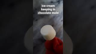 homemade vanilla ice cream keeped in chocolate mold
