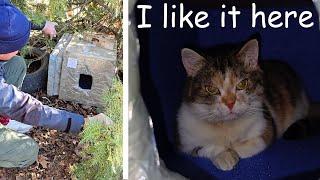 The Cats Can't Believe Their Eyes – Another New Warm and Cozy Home for Them! | Love Street Cats