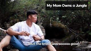 My Mom Owns A Jungle in Korea (Not Clickbait)