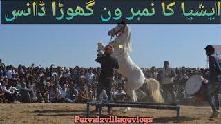 Asia Ka Number One Ghora Dance ||Horse Dance On Pakistan 2024..#best #horses #dance