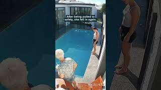 Dog owners giggle after pulling pup from the pool twice #Shorts