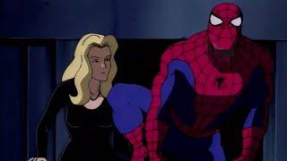 Spider-Man: The Animated Series Episode 2 - The Cat - Season 4 Review #spiderman