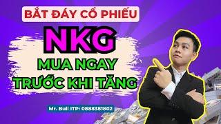 Phân Tích Cổ Phiếu NKG : Cơ Hội Đầu Tư Chứng Khoán Hiệu Quả 2025