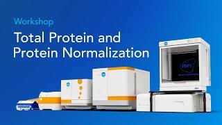 Workshop: Total Protein and Protein Normalization