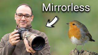 Wildlife Photography for Beginners: 5 Tips with a Mirrorless Camera