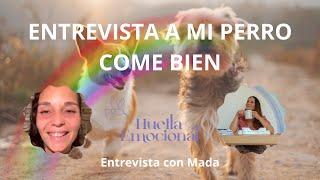 Laura Vidal - Huella Emocional entrevista a Mada de Mi perro come bien