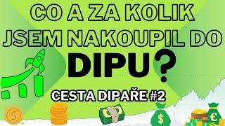 CO A ZA KOLIK JSEM NAKOUPIL DO DIPu?! - CESTA DIPaře #2