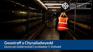 Gwastraff ym Mwrdd Iechyd Prifysgol Caerdydd a'r Fro