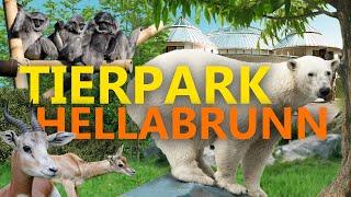 Tierpark Hellabrunn in München | Zoo-Eindruck