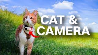 Cat + Camera = This Video | Ros' Vlog part #01