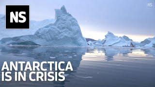 Antarctica is in crisis and we are scrambling to understand its future