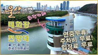 [울산여행] 태화강전망대 / 태화강의 수려한 경관과 자연생태를 한눈에 담는 곳 / Ulsan Korea