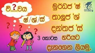 Just know & write Sinhala words. මුර්ධජ 'ෂ', දන්තජ 'ශ' හා තාලුජ 'ස' හරියට දැනගෙන ලියමු.